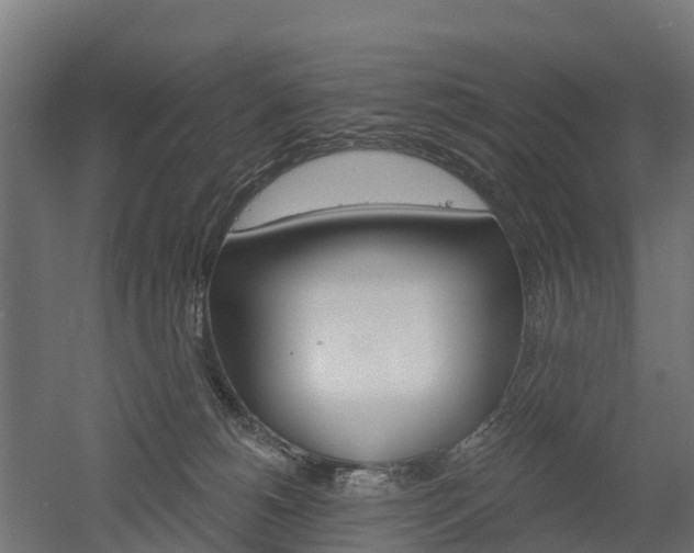 X0000052940180200507151652