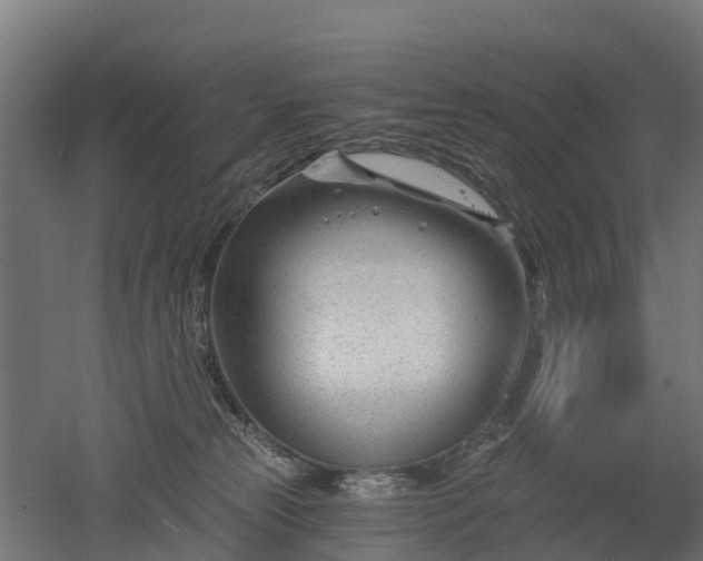 X0000052940181200507151652