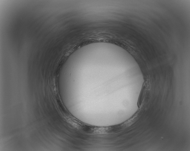 X0000052940182200507151652