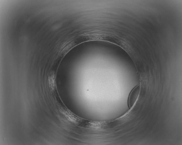 X0000052940190200507151653