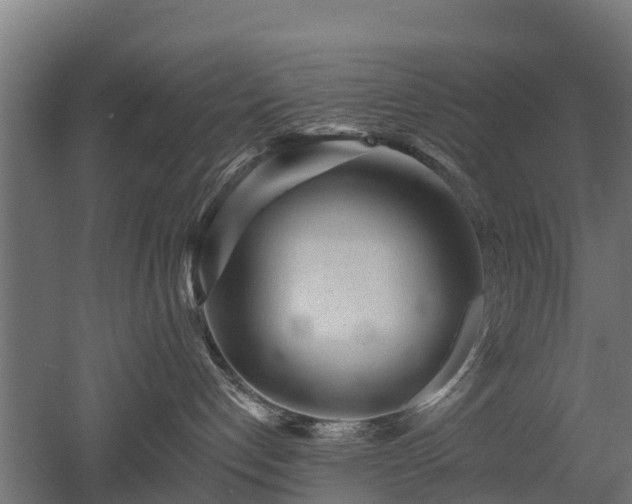 X0000052940192200507151653