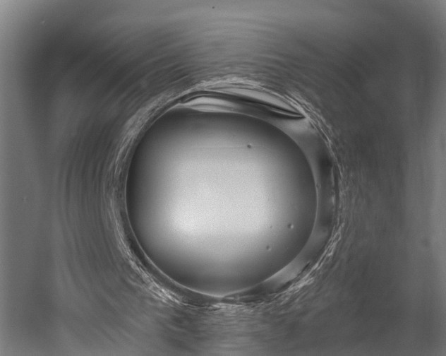 X0000052940193200507151652