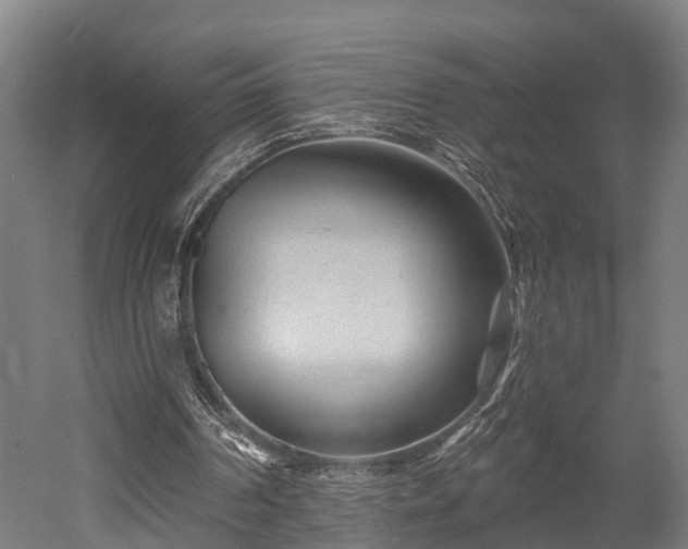 X0000052940194200507151652