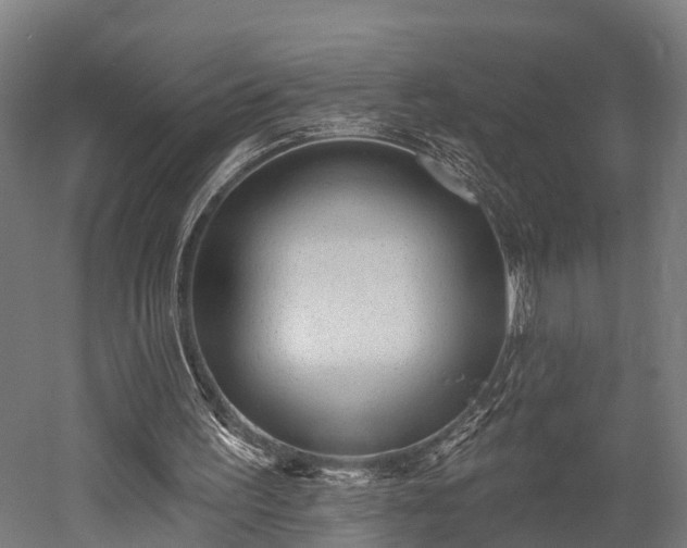 X0000052940195200507151652