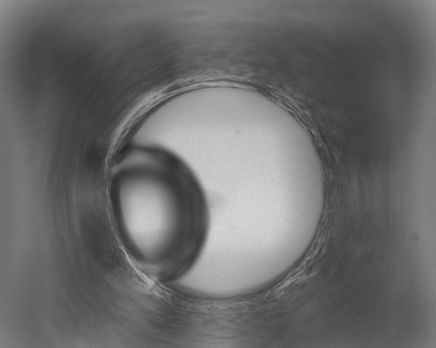 X0000052940197200507151652