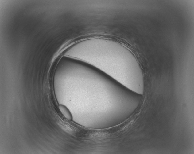 X0000052940198200507151652