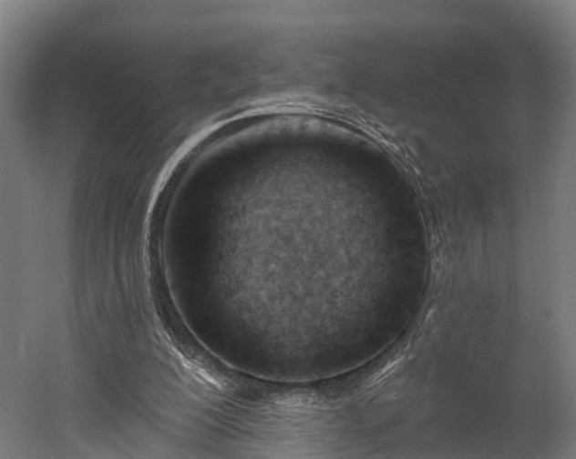 X0000052940200200507151652