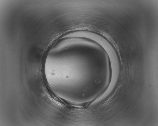 X0000052940201200507151652