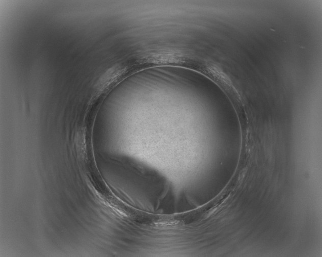 X0000052940202200507151652