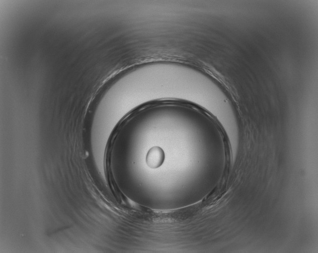 X0000052940203200507151652