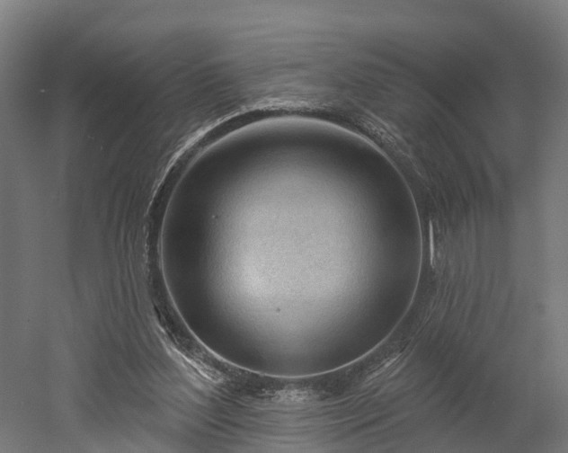 X0000052940204200507151652