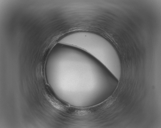 X0000052940205200507151652