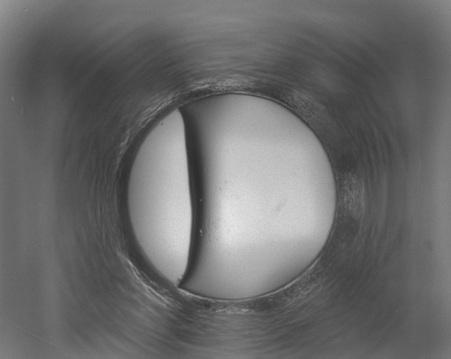 X0000052940206200507151652