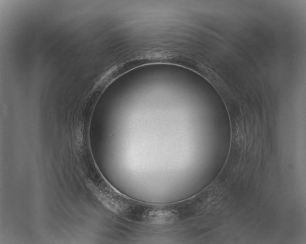 X0000052940208200507151652