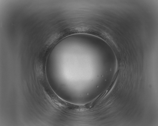 X0000052940212200507151652