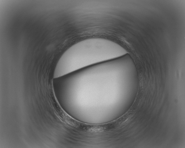 X0000052940213200507151651