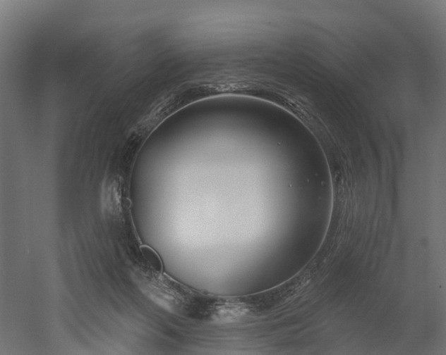 X0000052940214200507151651