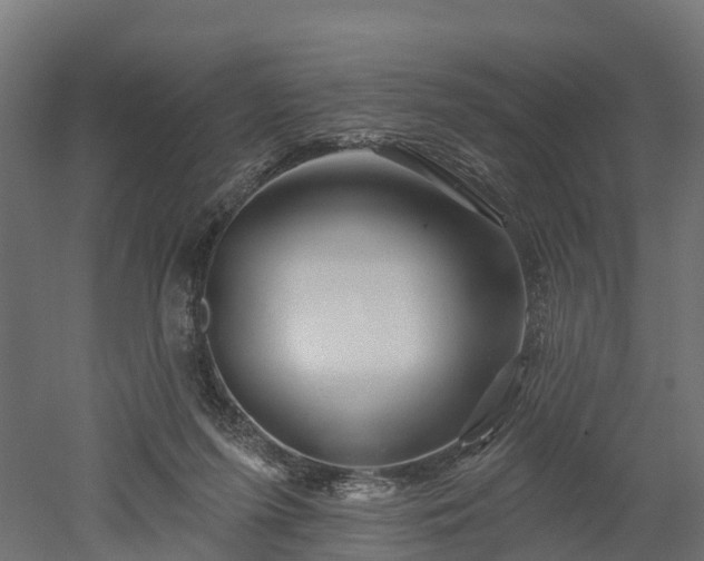 X0000052940215200507151651