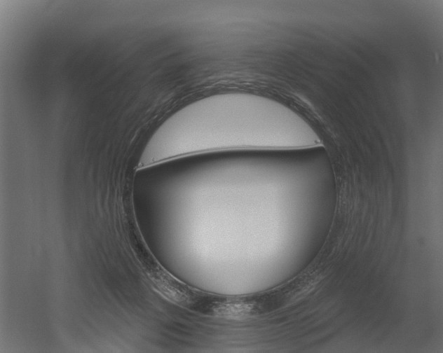 X0000052940217200507151651