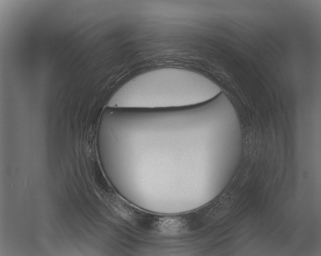 X0000052940218200507151651