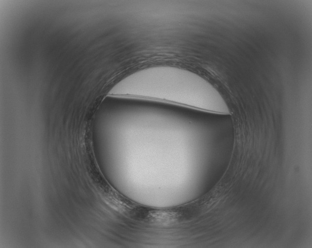 X0000052940221200507151651