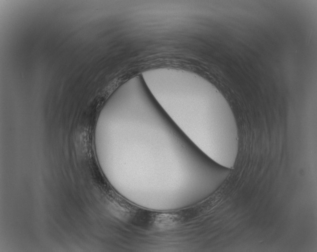 X0000052940222200507151651