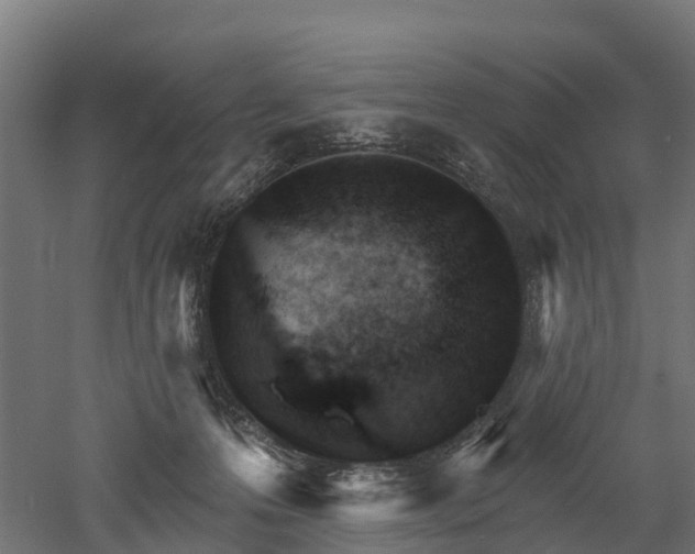 X0000052940223200507151651