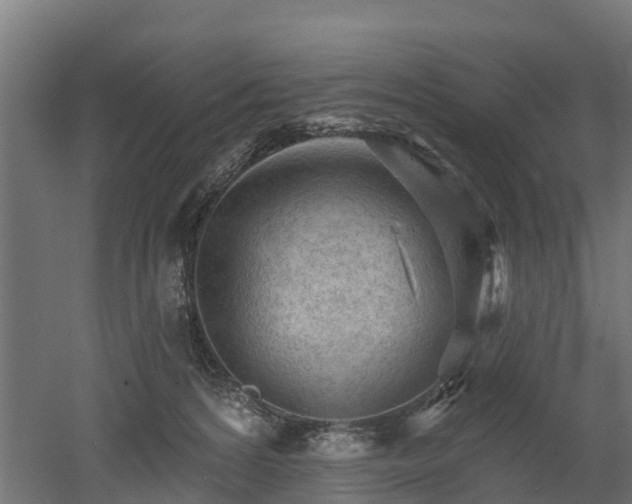 X0000052940224200507151651