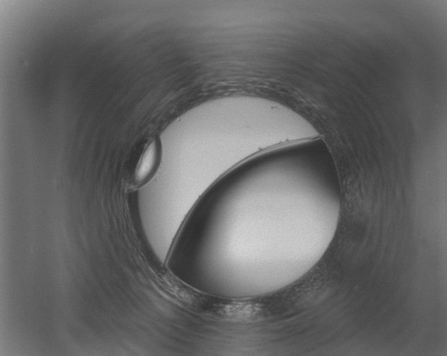 X0000052940225200507151651