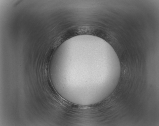 X0000052940226200507151651