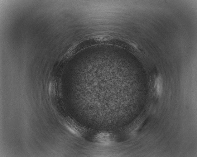 X0000052940227200507151651