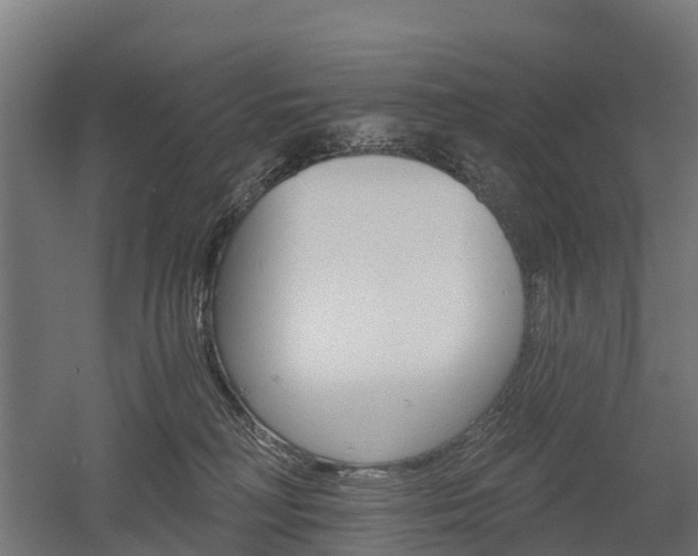 X0000052940230200507151651