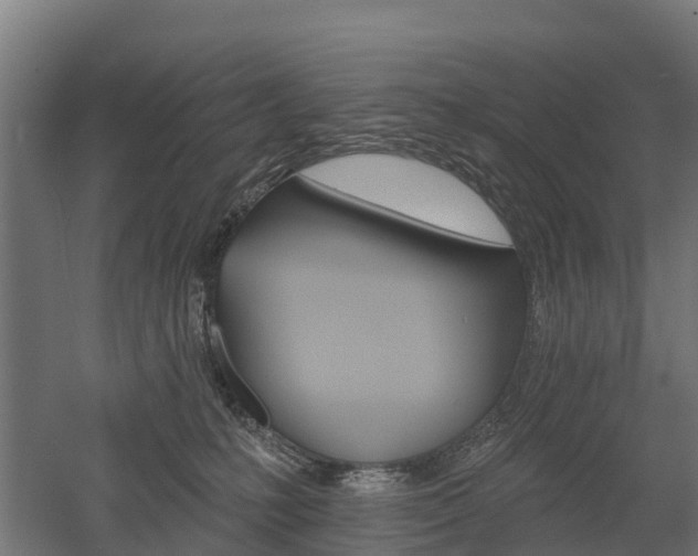 X0000052940231200507151651