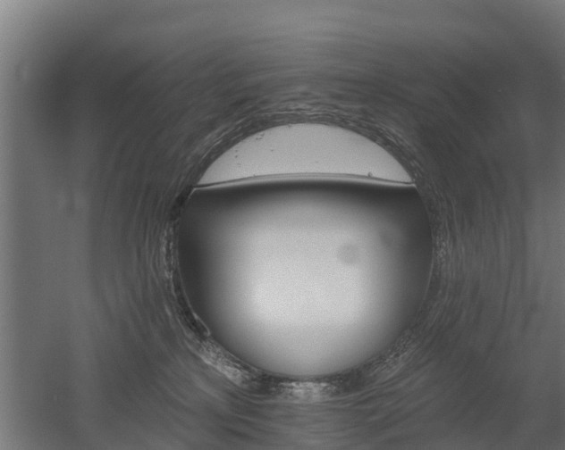 X0000052940233200507151651