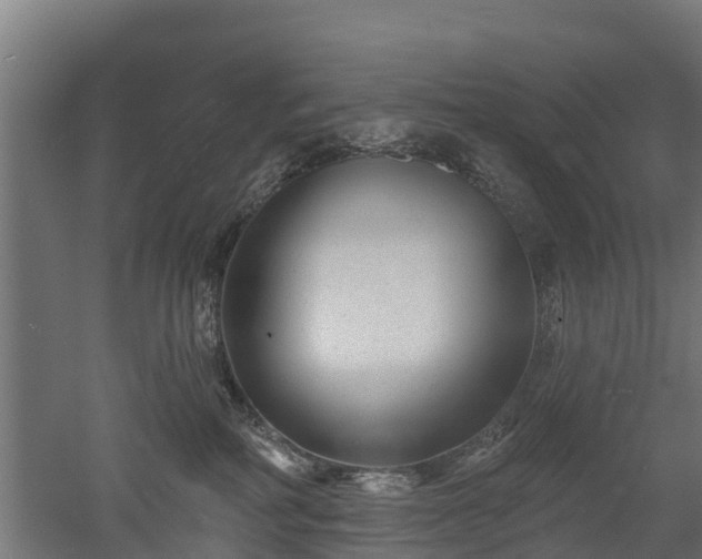 X0000052940234200507151651