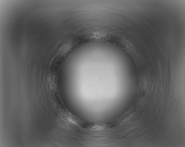 X0000052940236200507151651