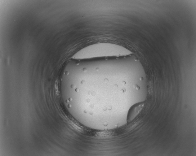 X0000052940238200507151651