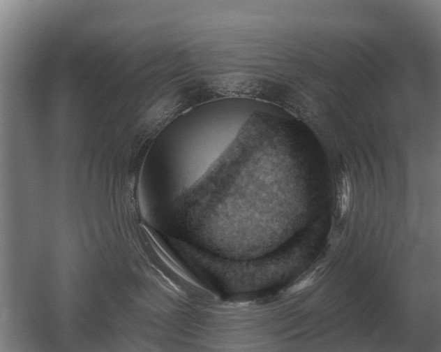 X0000052940239200507151651