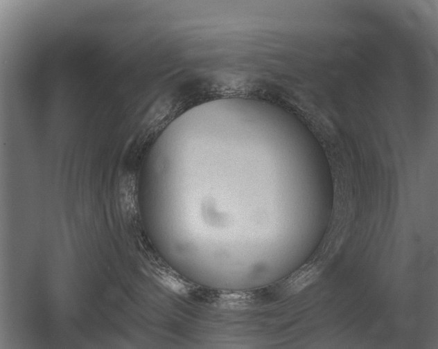 X0000052940240200507151651