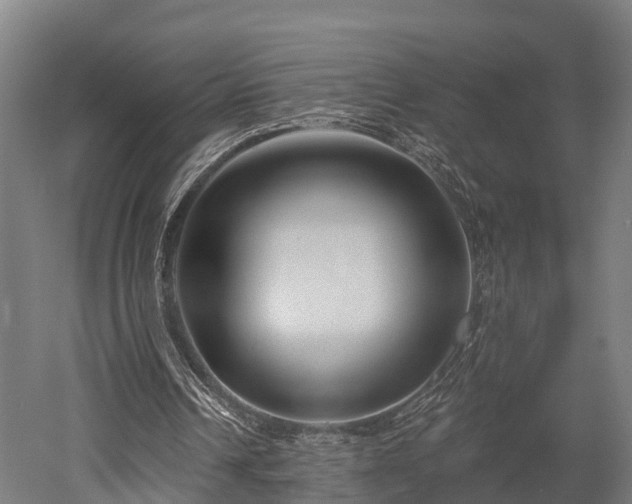 X0000052940242200507151650