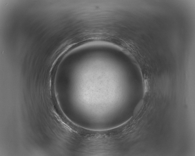 X0000052940243200507151650