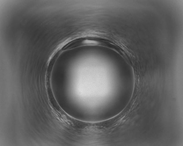 X0000052940244200507151650