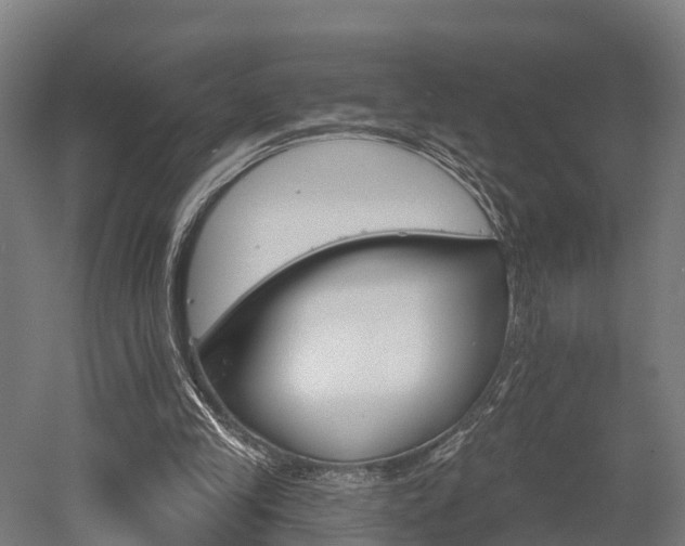 X0000052940245200507151650