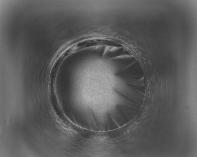 X0000052940247200507151650