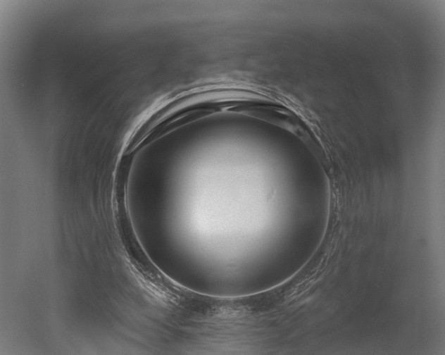 X0000052940248200507151650