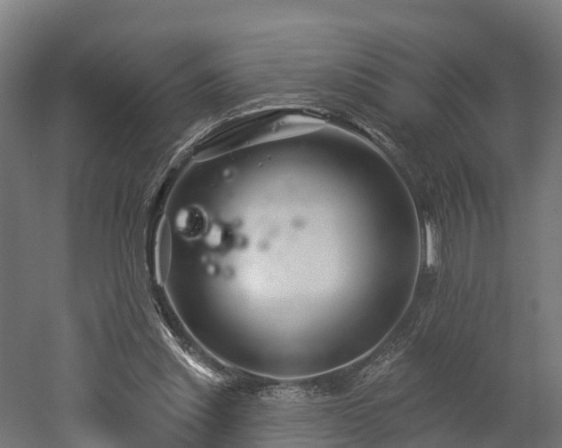 X0000052940253200507151650