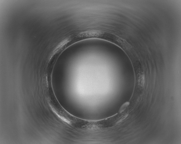 X0000052940254200507151650