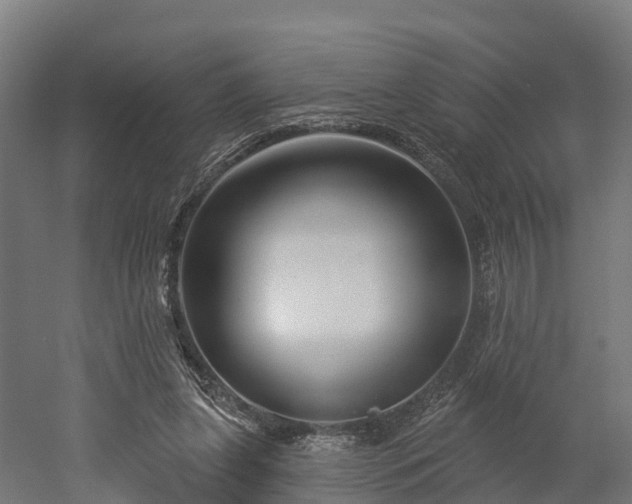 X0000052940255200507151650