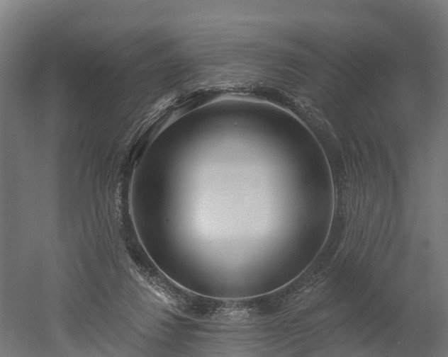 X0000052940260200507151651