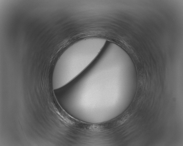 X0000052940261200507151651